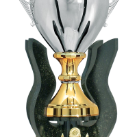 Troféu de Torneios e Campeonatos - Prata & Dourado